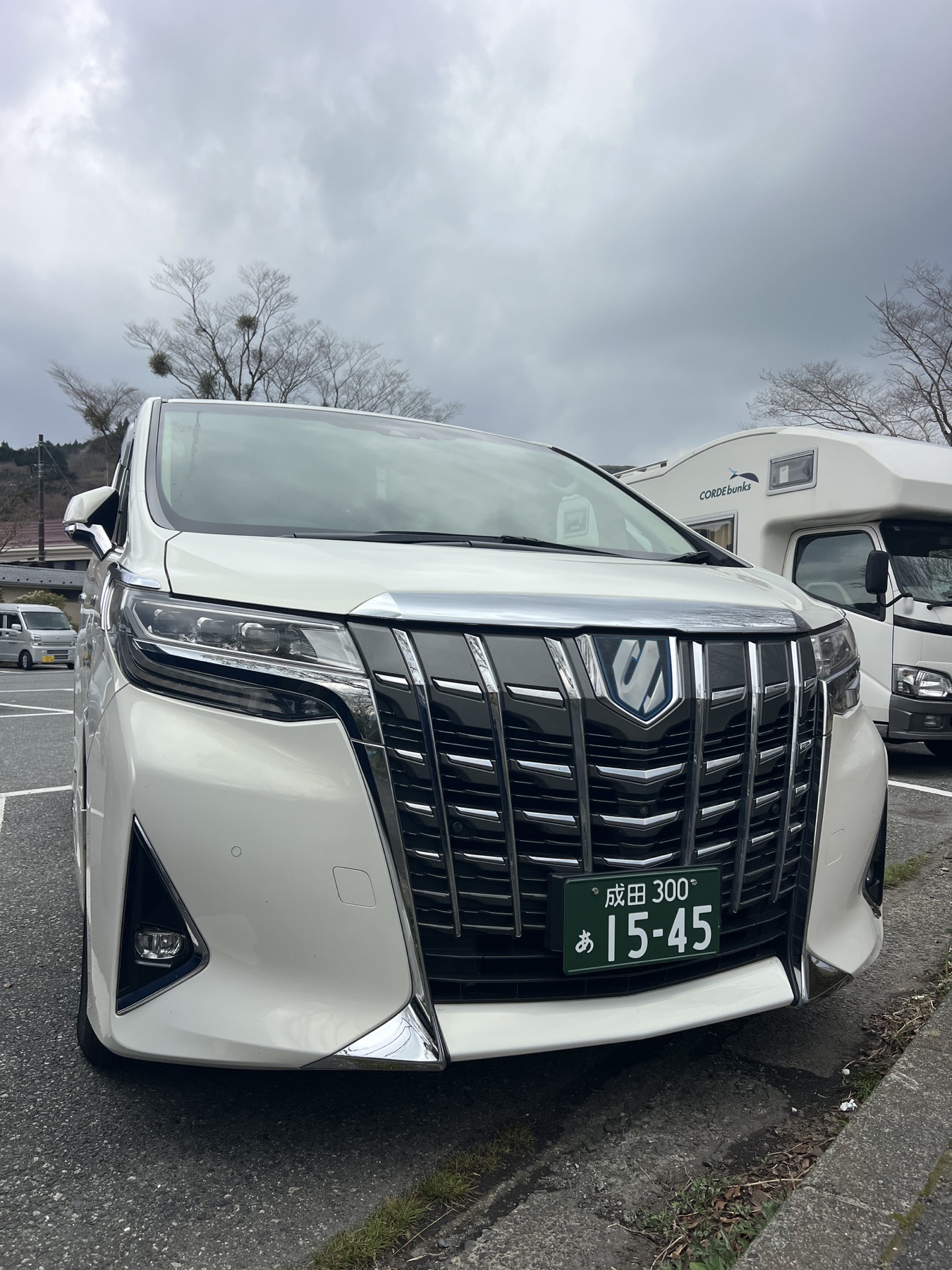合法綠牌營運車實拍